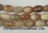 CMS511 15.5 inches 8*12mm rice moonstone beads wholesale