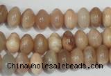 CMS519 15.5 inches 6*10mm rondelle moonstone beads wholesale