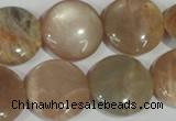 CMS525 15.5 inches 20mm flat round moonstone beads wholesale