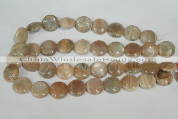CMS525 15.5 inches 20mm flat round moonstone beads wholesale