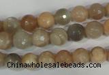 CMS571 15.5 inches 8mm faceted round moonstone beads wholesale