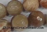 CMS577 15.5 inches 20mm faceted round moonstone beads wholesale
