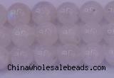 CMS642 15.5 inches 8mm round white moonstone beads wholesale