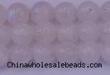 CMS642 15.5 inches 8mm round white moonstone beads wholesale