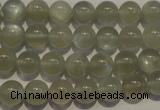 CMS652 15.5 inches 8mm round grey moonstone beads wholesale