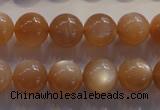 CMS734 15.5 inches 12mm round A grade natural peach moonstone beads