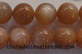 CMS736 15.5 inches 16mm round A grade natural peach moonstone beads