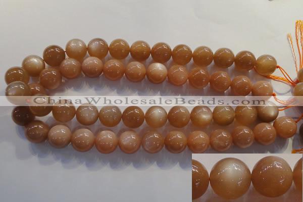 CMS736 15.5 inches 16mm round A grade natural peach moonstone beads