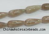 CMS74 15.5 inches 8*20mm faceted teardrop moonstone gemstone beads