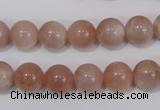 CMS754 15.5 inches 10mm round natural moonstone beads wholesale