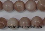 CMS757 15.5 inches 15mm round natural moonstone beads wholesale
