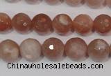 CMS765 15.5 inches 10mm faceted round natural moonstone beads