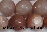 CMS770 15.5 inches 20mm faceted round natural moonstone beads