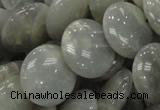 CMS79 15.5 inches 20mm flat round moonstone gemstone beads