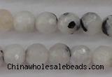 CMS801 15.5 inches 6mm faceted round white moonstone beads