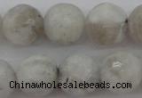 CMS803 15.5 inches 10mm faceted round white moonstone beads
