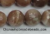 CMS82 15.5 inches 18mm faceted round moonstone gemstone beads