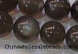 CMS855 15.5 inches 14mm round natural black moonstone beads