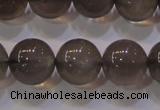 CMS860 15.5 inches 10mm round A grade natural black moonstone beads