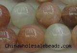CMS895 15.5 inches 14mm round moonstone gemstone beads wholesale