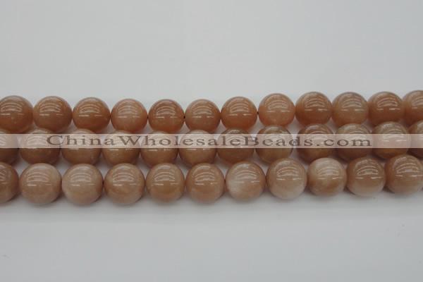 CMS935 15.5 inches 14mm round A grade moonstone gemstone beads