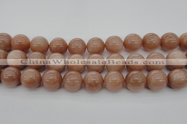 CMS937 15.5 inches 18mm round A grade moonstone gemstone beads