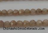 CMS940 15.5 inches 4mm faceted round A grade moonstone gemstone beads