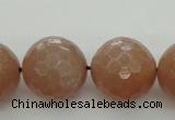 CMS946 15.5 inches 16mm faceted round A grade moonstone gemstone beads