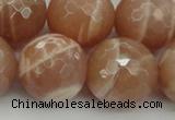 CMS947 15.5 inches 18mm faceted round A grade moonstone gemstone beads