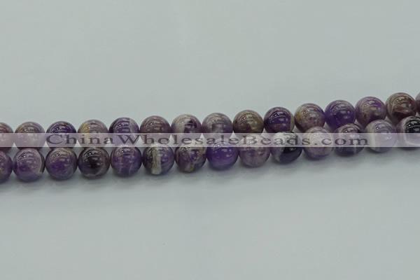 CNA1004 15.5 inches 12mm round dogtooth amethyst beads wholesale