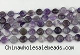 CNA1185 15.5 inches 10mm flat round amethyst beads wholesale