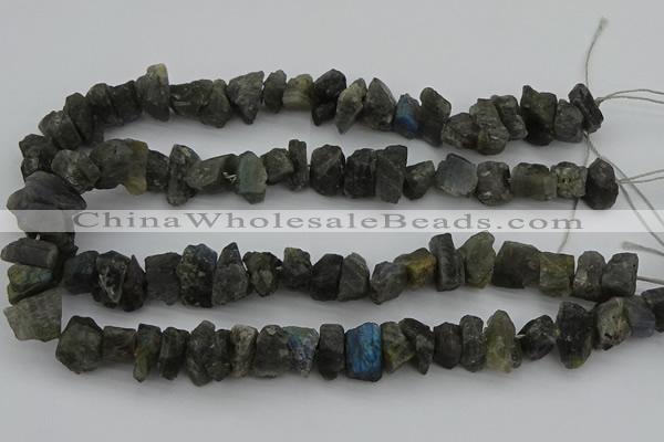 CNG1140 15.5 inches 8*12mm - 13*18mm nuggets labradorite beads