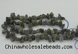 CNG1159 15.5 inches 8*12mm - 13*18mm nuggets labradorite beads