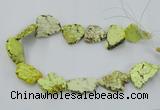 CNG2511 15.5 inches 25*30mm - 35*40mm freeform turquoise beads