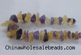 CNG2543 12*20mm – 15*30mm nuggets lavender amethyst & citrine beads