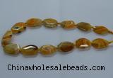 CNG2635 15.5 inches 18*28mm - 20*30mm freeform agate beads