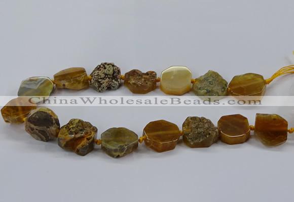 CNG2768 15.5 inches 20*22mm - 22*26mm freeform agate beads