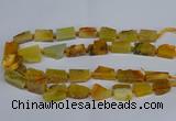 CNG2900 15.5 inches 12*16mm - 15*25mm freeform agate beads