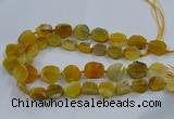 CNG2907 15.5 inches 12*16mm - 15*25mm freeform agate beads