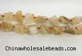 CNG3563 15.5 inches 18*20mm - 25*30mm nuggets rough citrine beads