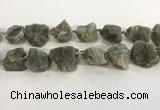 CNG3567 15.5 inches 18*20mm - 25*30mm nuggets rough labradorite beads