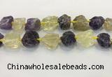 CNG3576 18*20mm - 25*30mm nuggets rough amethyst & lemon quartz beads