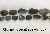 CNG3589 13*18mm - 15*30mm faceted nuggets labradorite beads