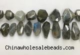 CNG3591 15*25mm - 25*35mm faceted nuggets labradorite beads