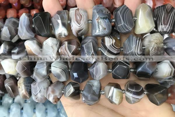 CNG3614 13*20mm - 15*24mm faceted nuggets Botswana agate beads