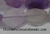 CNG5117 15.5 inches 14*20mm - 18*25mm freeform matte amethyst beads