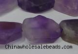 CNG5118 15.5 inches 14*20mm - 18*25mm freeform matte amethyst beads