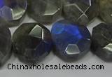 CNG5144 15.5 inches 15*18mm - 15*20mm faceted freeform labradorite beads