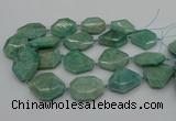 CNG5353 15.5 inches 20*30mm - 35*45mm faceted freeform amazonite beads
