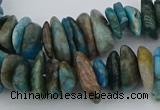 CNG5438 15.5 inches 3*10mm - 5*18mm nuggets apatite beads